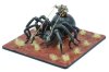 Macrothele - Giant Spider