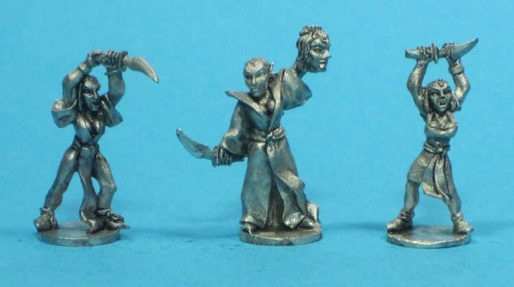 Blade Acolytes - Click Image to Close