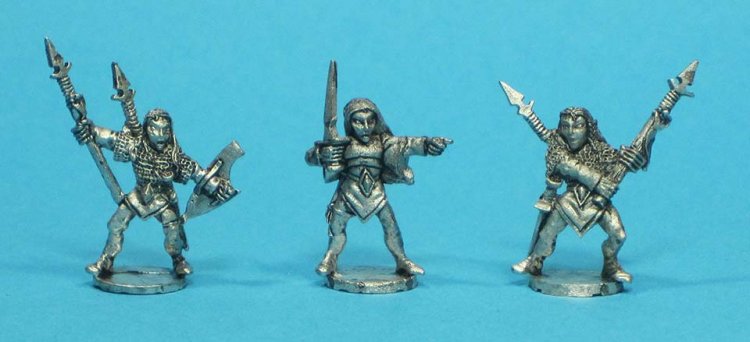 Wood Elf Heavy Infantry - Click Image to Close
