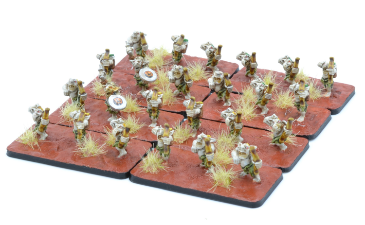 Goblin Basic Starter Army - Click Image to Close
