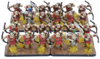 Orc Basic Starter Army